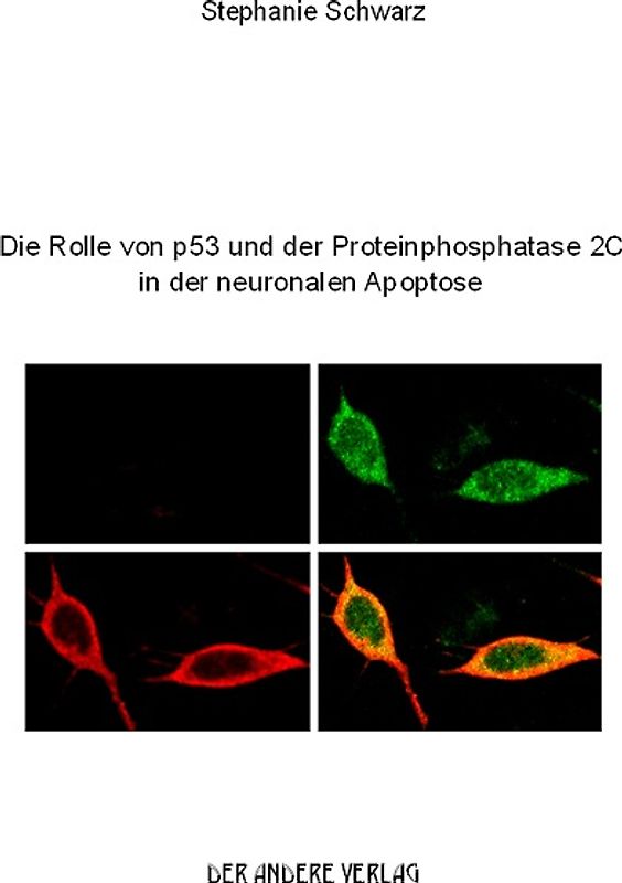 Die Rolle von p53 und der Proteinphosphatase 2C in der neuronalen Apoptose
