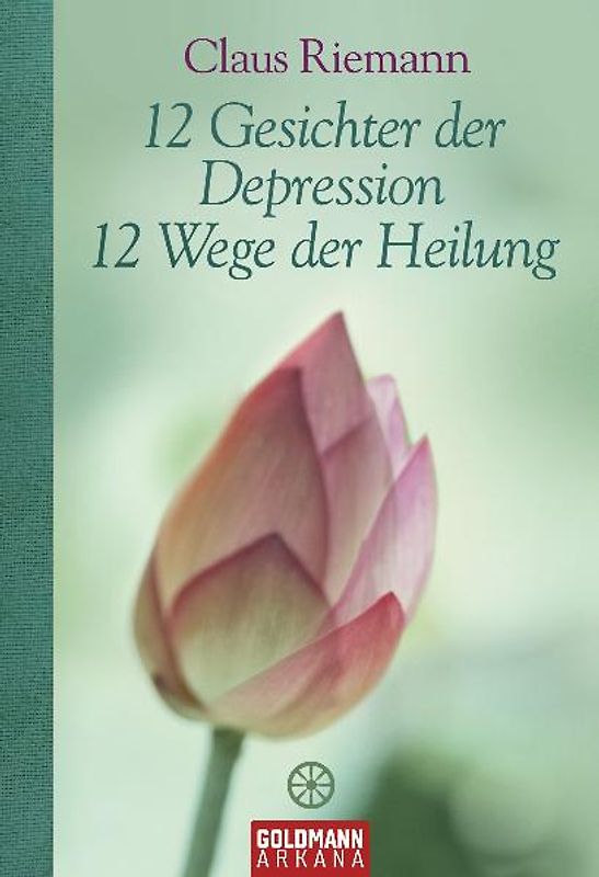 12 Gesichter der Depression  - 12 Wege der Heilung