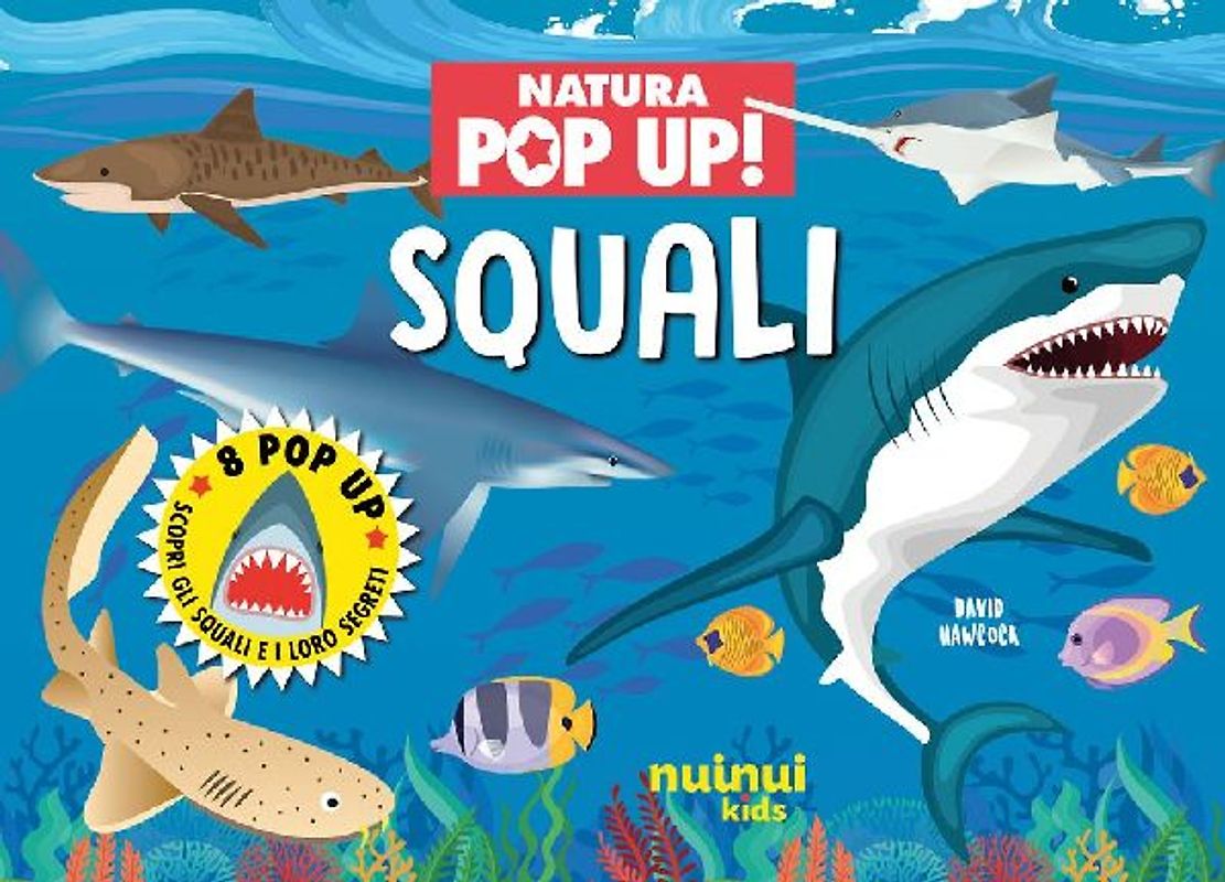 Squali. Natura pop up!