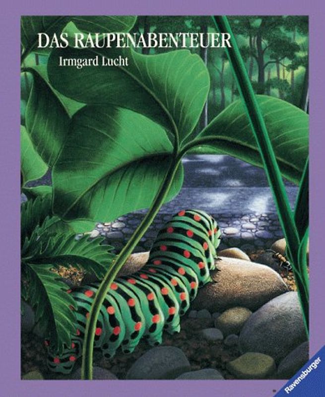 Das Raupenabenteuer. Mit neuer Rechtschreibung