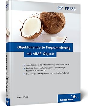Objektorientierte Programmierung mit ABAP Objects