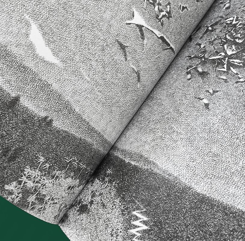 Und mir wuchsen Flügel