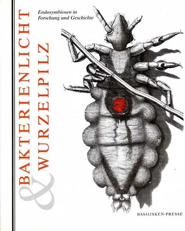 Bakterienlicht & Wurzelpilz