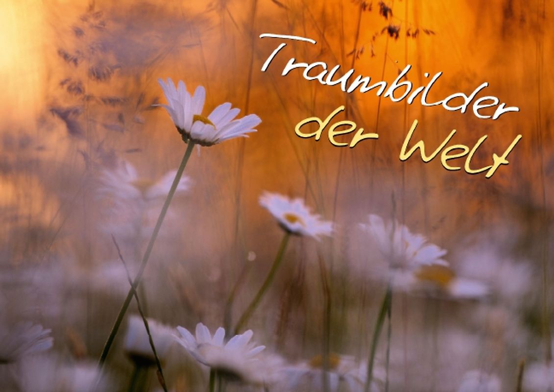 Traumbilder der Welt (Posterbuch DIN A4 quer)