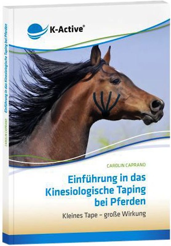 Einführung in das Kinesiologische Taping bei Pferden