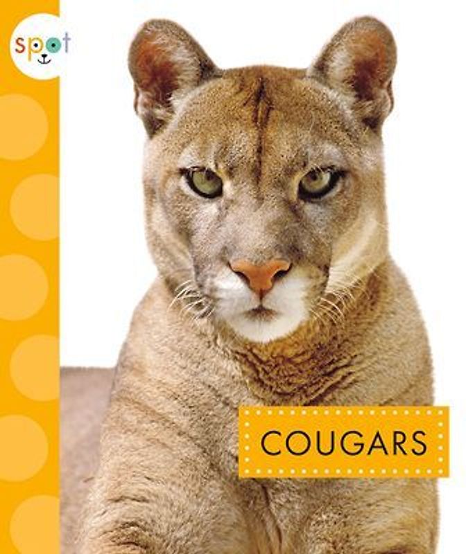 Cougars