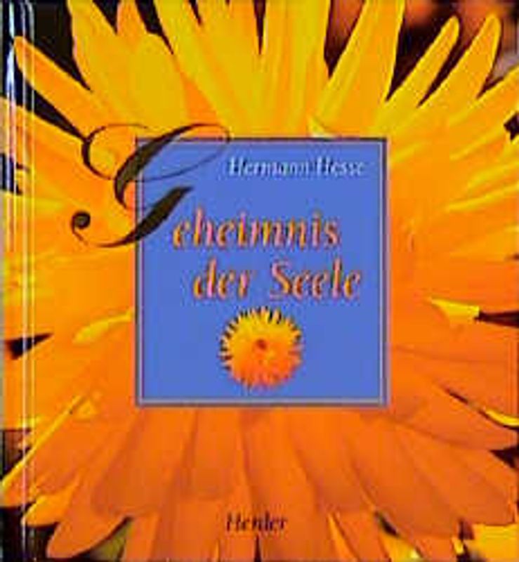 Geheimnis der Seele