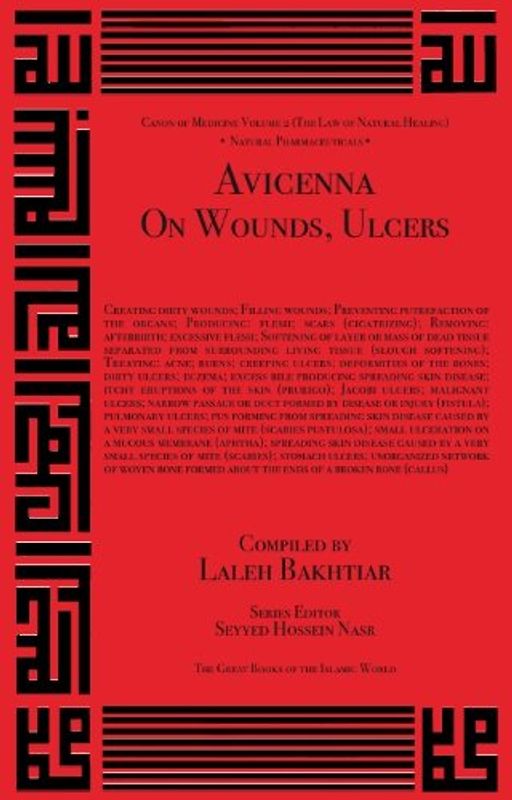Avicenna on Treating Wounds and Ulcers (Canon of Medicine, Band 2)