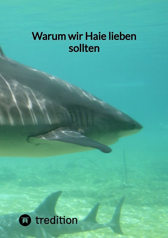 Warum wir Haie lieben sollten