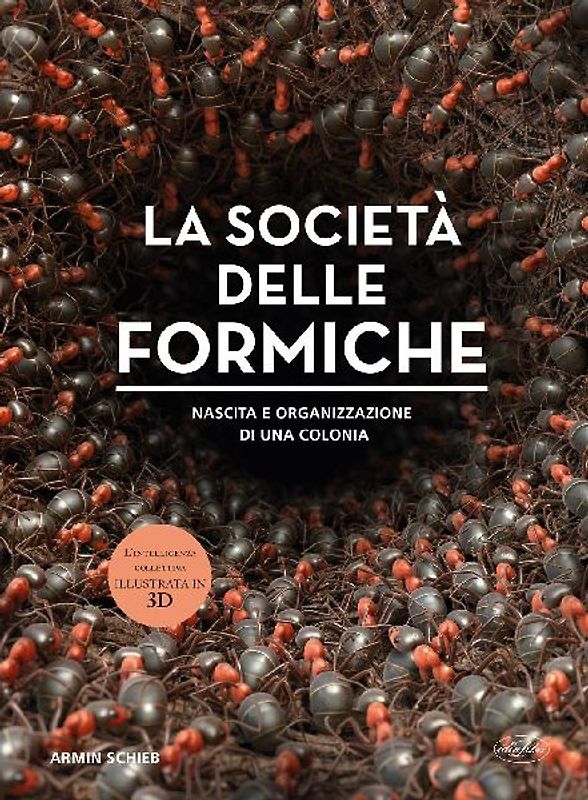 La società delle formiche