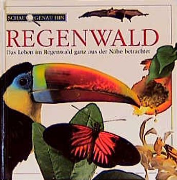 Schau genau hin / Regenwald