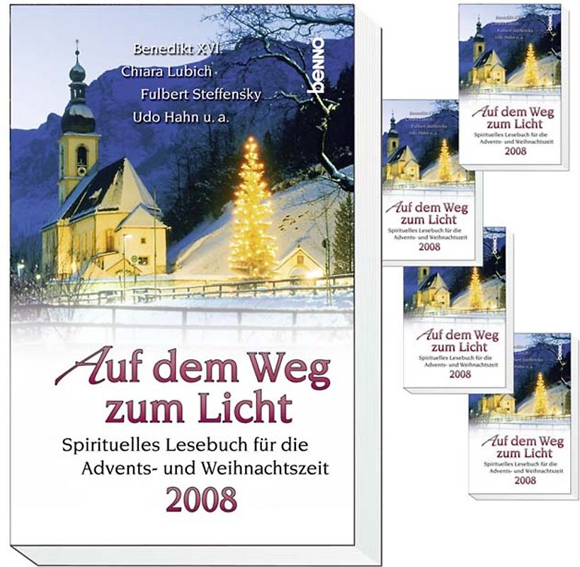 Auf dem Weg zum Licht 2008 - VPE