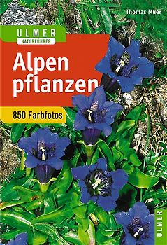 Ulmer Naturführer Alpenpflanzen