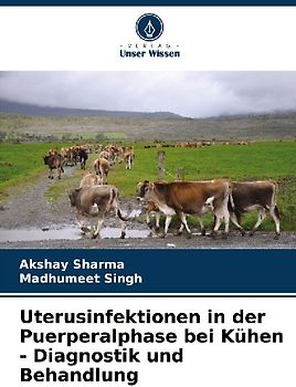 Uterusinfektionen in der Puerperalphase bei Kühen - Diagnostik und Behandlung