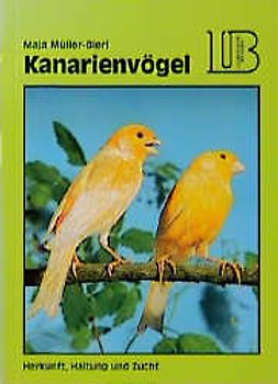 Kanarienvögel