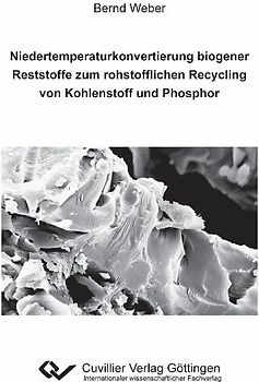 Niedertemperaturkonvertierung biogener Reststoffe zum rohstofflichen Recycling von Kohlenstoff und Phosphor