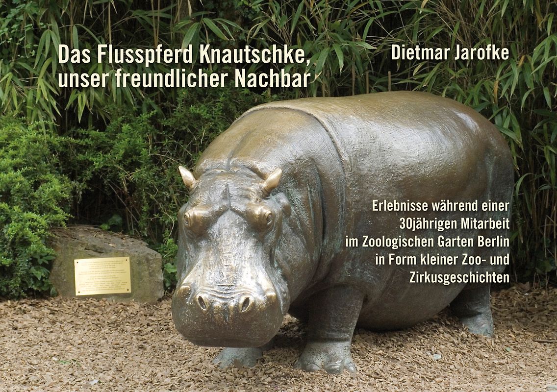 Das Flusspferd Knautschke, unser freundlicher Nachbar