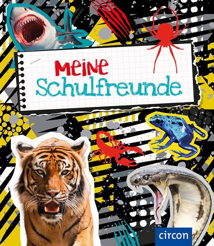 Meine Schulfreunde
