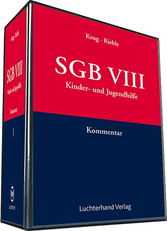SGB VIII - Kinder- und Jugendhilfe
