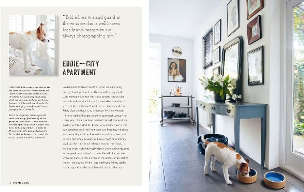 Cool Dogs, Cool Homes