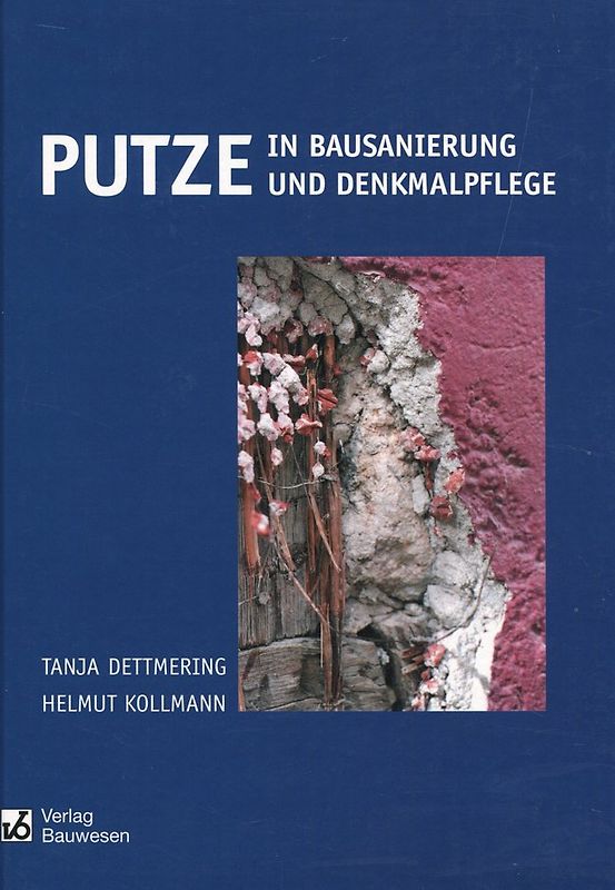 Putze in Bausanierung und Denkmalpflege