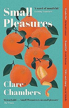 Small Pleasures: The BBC 2 Between the Covers Pick and BBC Radio 4 Book at Bedtime: Longlisted for the Women's Prize for Fiction 2021