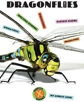 Dragonflies