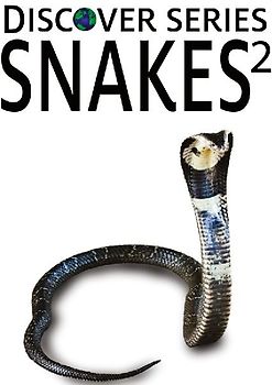 Snakes 2