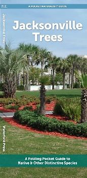 Jacksonville Trees
