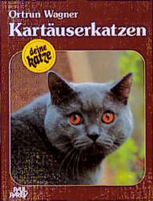 Kartäuserkatzen. Kauf - Haltung - Pflege