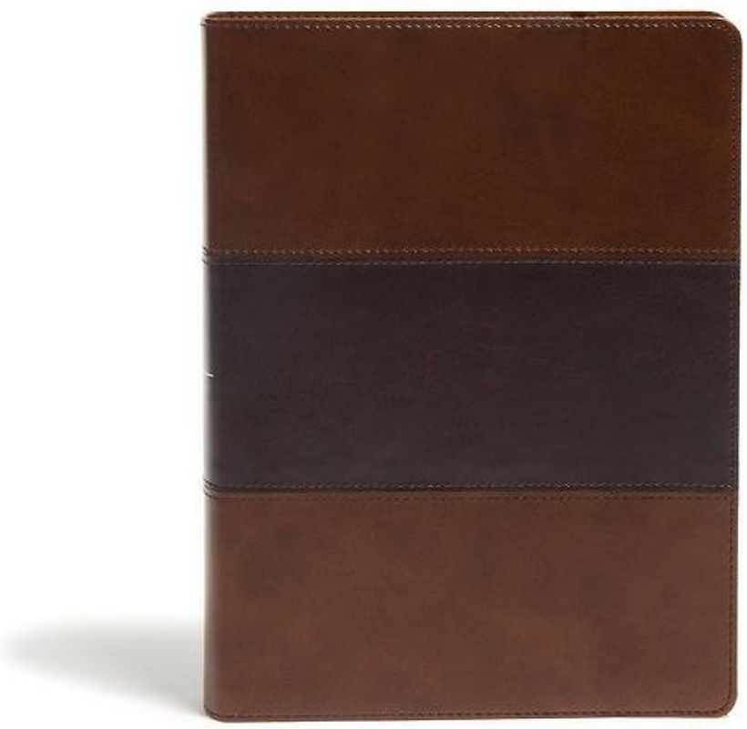 KJV Study Bible, Full-Color, Saddle Brown Leathertouch, Indexed