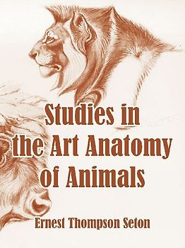 Studies in the Art Anatomy of Animals