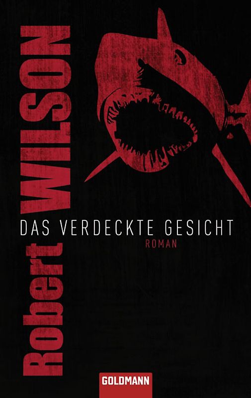 Das verdeckte Gesicht