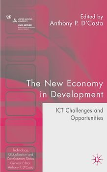 The New Economy in Development