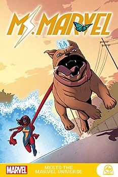 Ms. Marvel Meets the Marvel Universe