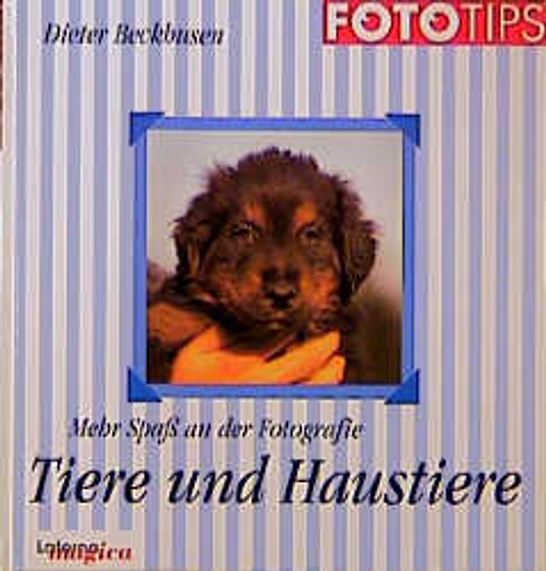 Mehr Spass an der Fotografie: Tiere und Haustiere