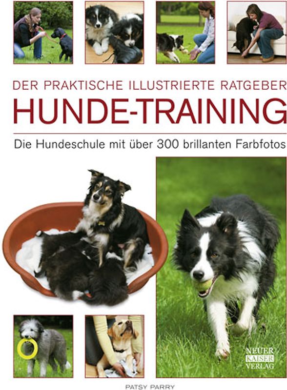 Hunde-Training