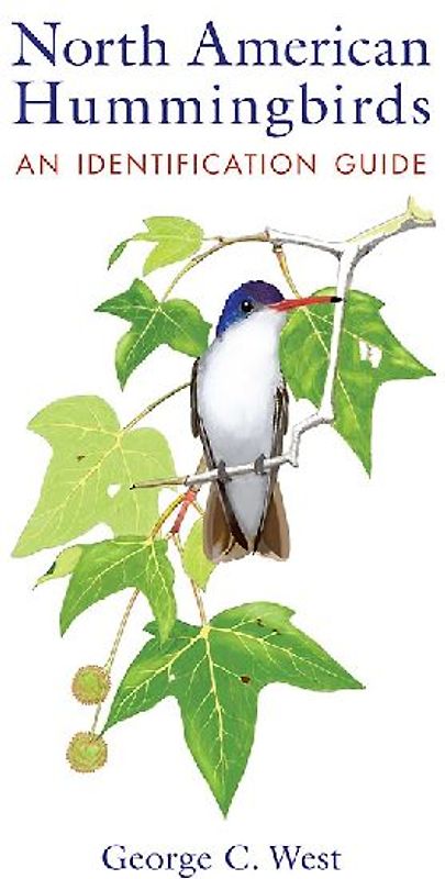 North American Hummingbirds