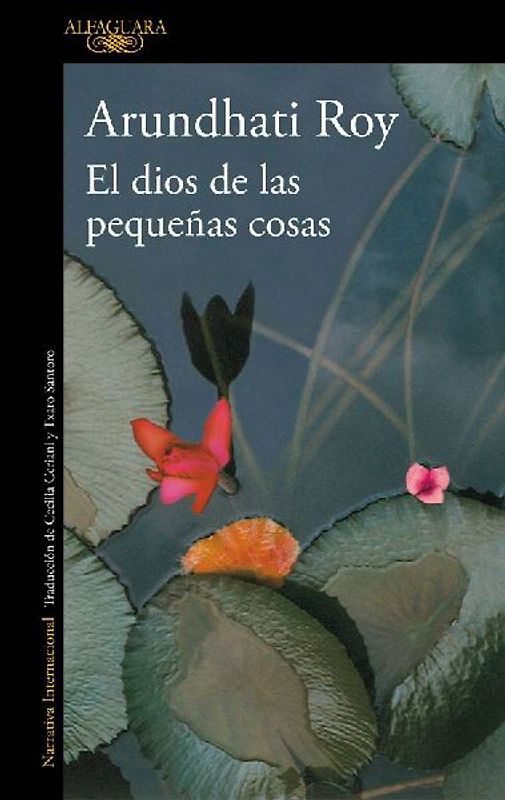El Dios de Las Pequeñas Cosas / The God of Small Things