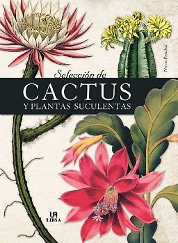 Selección de cactus y plantas suculentas