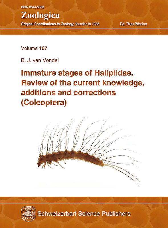 Immature stages of Haliplidae