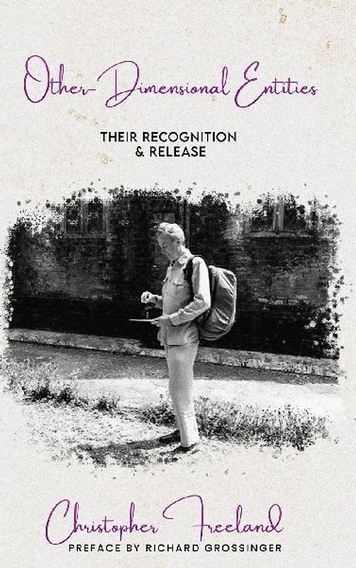 Other-Dimensional Entities