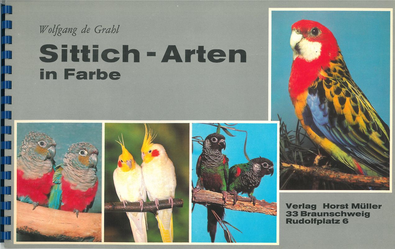 Sittich-Arten in Farbe