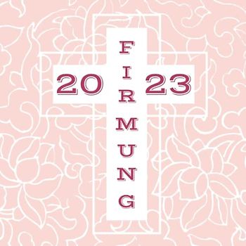 Meine Firmung: Gästebuch | Erinnerungsbuch zum Eintragen von Glückwünschen | christliche Geschenkbücher | Edition: rosa