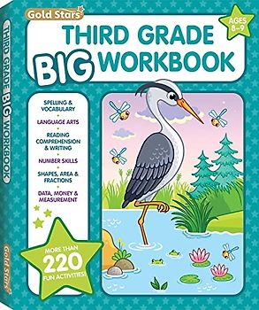 3rd Grade BIG Workbook All Subjects for Kids 8 - 9 includes 220+ Activities, Spelling, Grammar, Reading Comprehension, Writing, Math, Multiplication, ... and Measurement (EnglishvEdition)