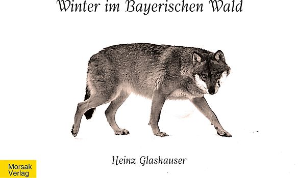 Winter im Bayerischen Wald