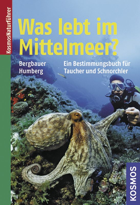 Was lebt im Mittelmeer