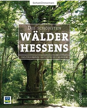 Die schönsten Wälder Hessens