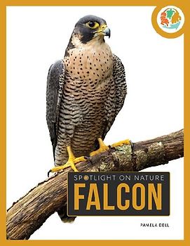 Falcon