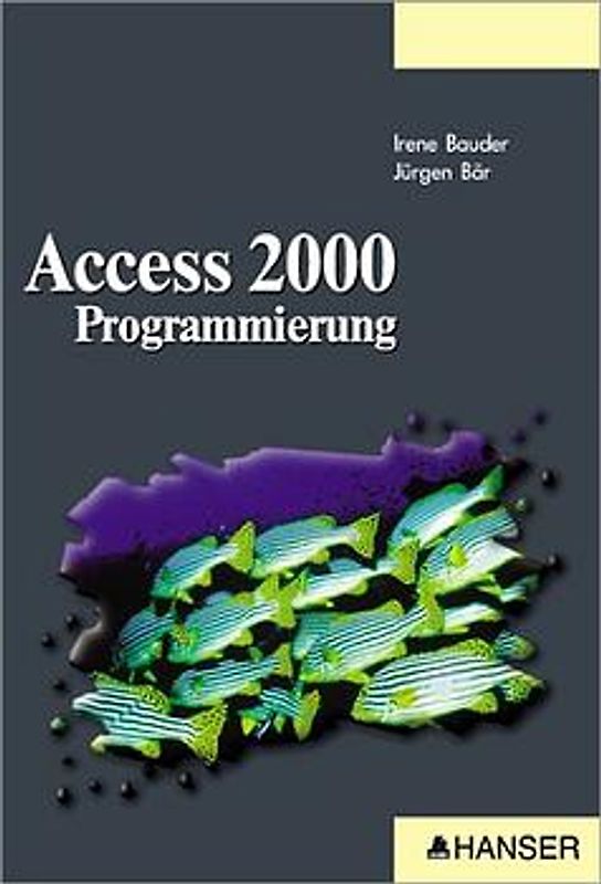 Access 2000 Programmierung